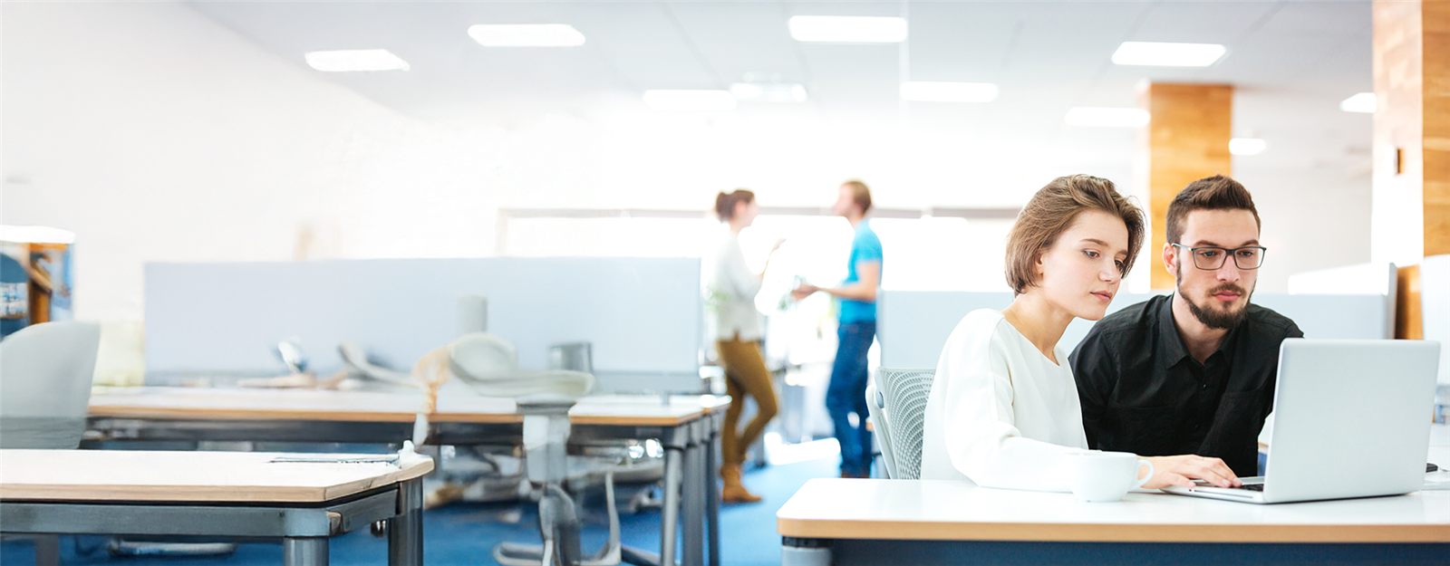 DigiAssess: Online Assessment Tools That Work for Institutions